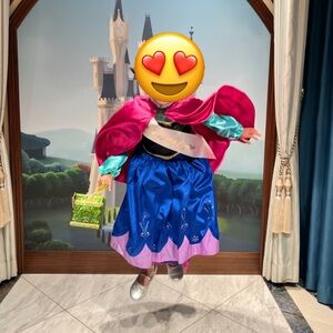 Disney Frozen Princess Anna Costume - Pink, Blue, and Silver